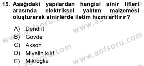 İnsan Beden Yapısı Ve Fizyolojisi Dersi 2021 - 2022 Yılı (Vize) Ara Sınav Soruları 15. Soru