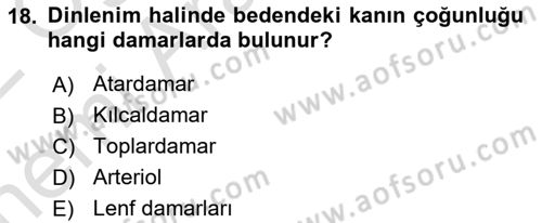 İnsan Beden Yapısı Ve Fizyolojisi Dersi 2021 - 2022 Yılı (Vize) Ara Sınav Soruları 18. Soru
