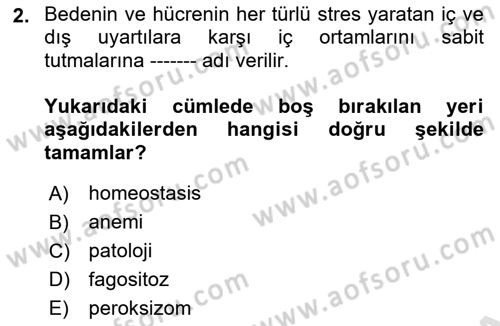 İnsan Beden Yapısı Ve Fizyolojisi Dersi 2021 - 2022 Yılı (Vize) Ara Sınav Soruları 2. Soru