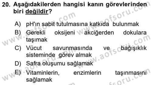 İnsan Beden Yapısı Ve Fizyolojisi Dersi 2021 - 2022 Yılı (Vize) Ara Sınav Soruları 20. Soru