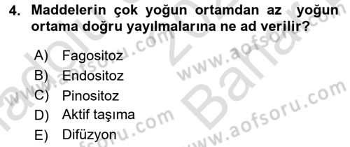İnsan Beden Yapısı Ve Fizyolojisi Dersi 2021 - 2022 Yılı (Vize) Ara Sınav Soruları 4. Soru