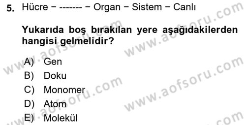 İnsan Beden Yapısı Ve Fizyolojisi Dersi 2021 - 2022 Yılı (Vize) Ara Sınav Soruları 5. Soru
