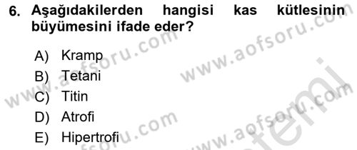 İnsan Beden Yapısı Ve Fizyolojisi Dersi 2021 - 2022 Yılı (Vize) Ara Sınav Soruları 6. Soru