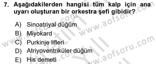 İnsan Beden Yapısı Ve Fizyolojisi Dersi Ara Sınavı Deneme Sınav Soruları 7. Soru