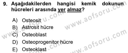 İnsan Beden Yapısı Ve Fizyolojisi Dersi 2021 - 2022 Yılı (Vize) Ara Sınav Soruları 9. Soru