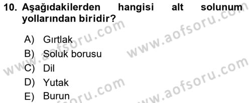 İnsan Beden Yapısı Ve Fizyolojisi Dersi 2021 - 2022 Yılı (Final) Dönem Sonu Sınav Soruları 10. Soru