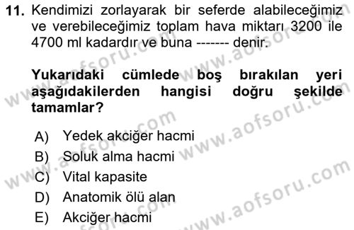 İnsan Beden Yapısı Ve Fizyolojisi Dersi 2021 - 2022 Yılı (Final) Dönem Sonu Sınav Soruları 11. Soru