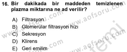 İnsan Beden Yapısı Ve Fizyolojisi Dersi 2021 - 2022 Yılı (Final) Dönem Sonu Sınav Soruları 16. Soru