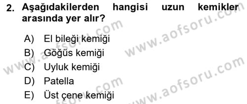 İnsan Beden Yapısı Ve Fizyolojisi Dersi 2021 - 2022 Yılı (Final) Dönem Sonu Sınav Soruları 2. Soru