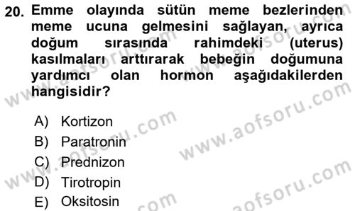 İnsan Beden Yapısı Ve Fizyolojisi Dersi 2021 - 2022 Yılı (Final) Dönem Sonu Sınav Soruları 20. Soru