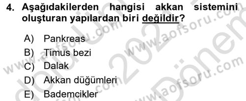 İnsan Beden Yapısı Ve Fizyolojisi Dersi 2021 - 2022 Yılı (Final) Dönem Sonu Sınav Soruları 4. Soru