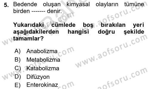 İnsan Beden Yapısı Ve Fizyolojisi Dersi 2021 - 2022 Yılı (Final) Dönem Sonu Sınav Soruları 5. Soru