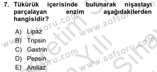 İnsan Beden Yapısı Ve Fizyolojisi Dersi 2021 - 2022 Yılı (Final) Dönem Sonu Sınav Soruları 7. Soru