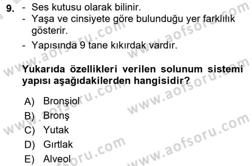 İnsan Beden Yapısı Ve Fizyolojisi Dersi 2021 - 2022 Yılı (Final) Dönem Sonu Sınav Soruları 9. Soru