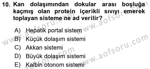 İnsan Beden Yapısı Ve Fizyolojisi Dersi 2021 - 2022 Yılı Yaz Okulu Sınav Soruları 10. Soru