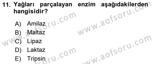 İnsan Beden Yapısı Ve Fizyolojisi Dersi 2021 - 2022 Yılı Yaz Okulu Sınav Soruları 11. Soru