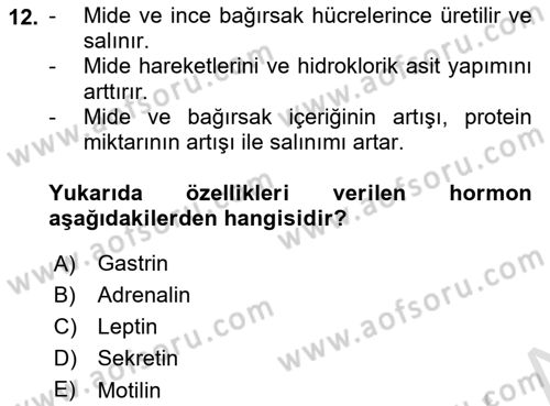 İnsan Beden Yapısı Ve Fizyolojisi Dersi 2021 - 2022 Yılı Yaz Okulu Sınav Soruları 12. Soru