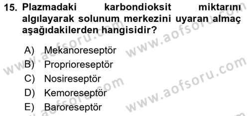 İnsan Beden Yapısı Ve Fizyolojisi Dersi 2021 - 2022 Yılı Yaz Okulu Sınav Soruları 15. Soru