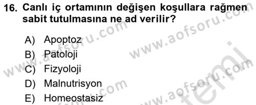 İnsan Beden Yapısı Ve Fizyolojisi Dersi 2021 - 2022 Yılı Yaz Okulu Sınav Soruları 16. Soru