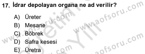 İnsan Beden Yapısı Ve Fizyolojisi Dersi 2021 - 2022 Yılı Yaz Okulu Sınav Soruları 17. Soru