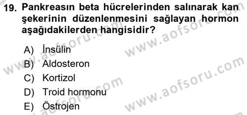 İnsan Beden Yapısı Ve Fizyolojisi Dersi 2021 - 2022 Yılı Yaz Okulu Sınav Soruları 19. Soru