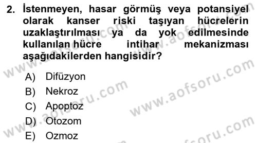 İnsan Beden Yapısı Ve Fizyolojisi Dersi 2021 - 2022 Yılı Yaz Okulu Sınav Soruları 2. Soru