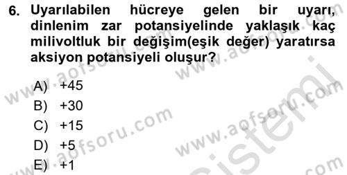 İnsan Beden Yapısı Ve Fizyolojisi Dersi 2021 - 2022 Yılı Yaz Okulu Sınav Soruları 6. Soru