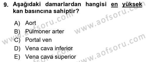 İnsan Beden Yapısı Ve Fizyolojisi Dersi 2021 - 2022 Yılı Yaz Okulu Sınav Soruları 9. Soru