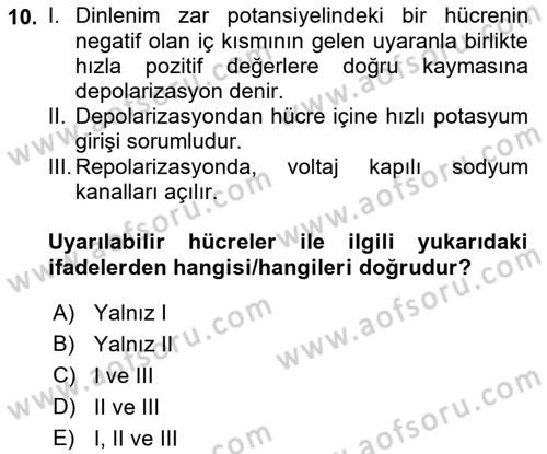 İnsan Beden Yapısı Ve Fizyolojisi Dersi 2022 - 2023 Yılı (Vize) Ara Sınavı 10. Soru