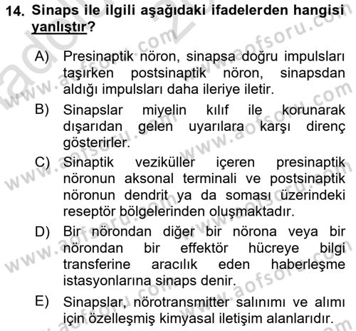 İnsan Beden Yapısı Ve Fizyolojisi Dersi 2022 - 2023 Yılı (Vize) Ara Sınavı 14. Soru