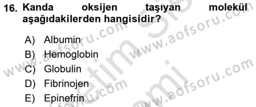 İnsan Beden Yapısı Ve Fizyolojisi Dersi 2022 - 2023 Yılı (Vize) Ara Sınavı 16. Soru