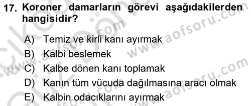 İnsan Beden Yapısı Ve Fizyolojisi Dersi 2022 - 2023 Yılı (Vize) Ara Sınavı 17. Soru