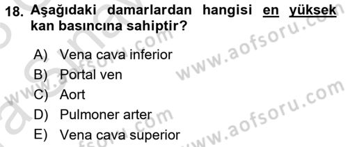 İnsan Beden Yapısı Ve Fizyolojisi Dersi 2022 - 2023 Yılı (Vize) Ara Sınavı 18. Soru