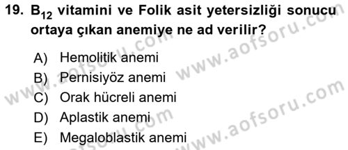 İnsan Beden Yapısı Ve Fizyolojisi Dersi 2022 - 2023 Yılı (Vize) Ara Sınavı 19. Soru