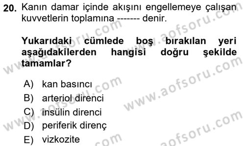 İnsan Beden Yapısı Ve Fizyolojisi Dersi 2022 - 2023 Yılı (Vize) Ara Sınavı 20. Soru