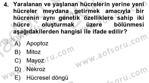 İnsan Beden Yapısı Ve Fizyolojisi Dersi 2022 - 2023 Yılı (Vize) Ara Sınavı 4. Soru