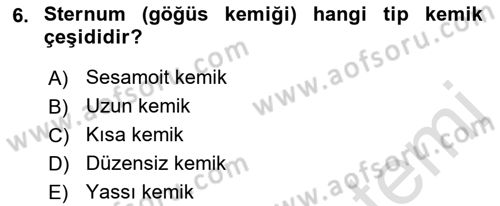 İnsan Beden Yapısı Ve Fizyolojisi Dersi 2022 - 2023 Yılı (Vize) Ara Sınavı 6. Soru