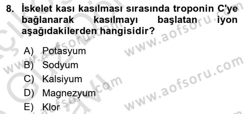 İnsan Beden Yapısı Ve Fizyolojisi Dersi 2022 - 2023 Yılı (Vize) Ara Sınavı 8. Soru