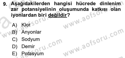 İnsan Beden Yapısı Ve Fizyolojisi Dersi 2022 - 2023 Yılı (Vize) Ara Sınavı 9. Soru