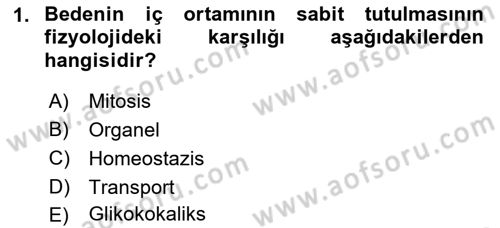 İnsan Beden Yapısı Ve Fizyolojisi Dersi 2022 - 2023 Yılı (Final) Dönem Sonu Sınav Soruları 1. Soru