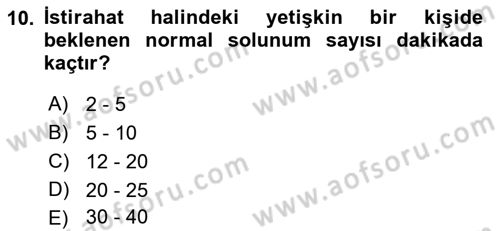İnsan Beden Yapısı Ve Fizyolojisi Dersi 2022 - 2023 Yılı (Final) Dönem Sonu Sınav Soruları 10. Soru