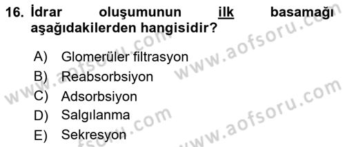 İnsan Beden Yapısı Ve Fizyolojisi Dersi 2022 - 2023 Yılı (Final) Dönem Sonu Sınav Soruları 16. Soru