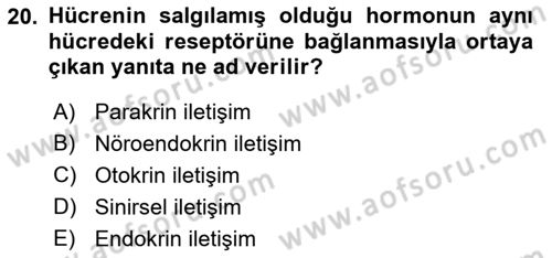 İnsan Beden Yapısı Ve Fizyolojisi Dersi 2022 - 2023 Yılı (Final) Dönem Sonu Sınav Soruları 20. Soru