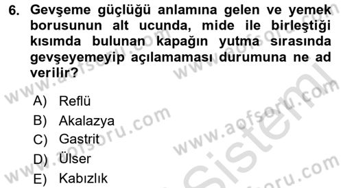 İnsan Beden Yapısı Ve Fizyolojisi Dersi 2022 - 2023 Yılı (Final) Dönem Sonu Sınav Soruları 6. Soru