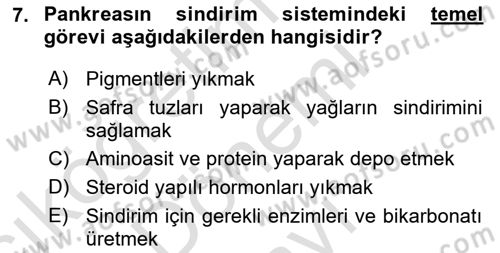 İnsan Beden Yapısı Ve Fizyolojisi Dersi 2022 - 2023 Yılı (Final) Dönem Sonu Sınav Soruları 7. Soru