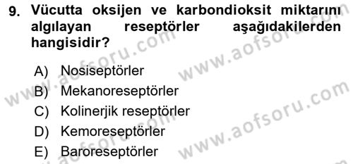 İnsan Beden Yapısı Ve Fizyolojisi Dersi 2022 - 2023 Yılı (Final) Dönem Sonu Sınav Soruları 9. Soru