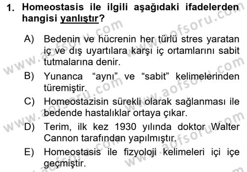 İnsan Beden Yapısı Ve Fizyolojisi Dersi 2022 - 2023 Yılı Yaz Okulu Sınav Soruları 1. Soru