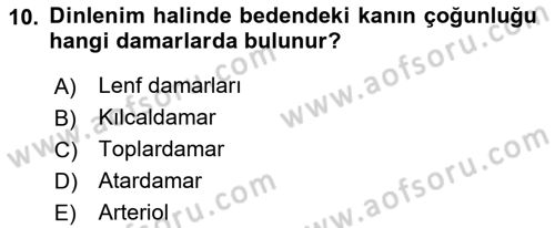 İnsan Beden Yapısı Ve Fizyolojisi Dersi 2022 - 2023 Yılı Yaz Okulu Sınav Soruları 10. Soru