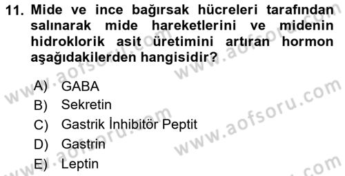 İnsan Beden Yapısı Ve Fizyolojisi Dersi 2022 - 2023 Yılı Yaz Okulu Sınav Soruları 11. Soru