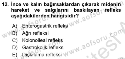 İnsan Beden Yapısı Ve Fizyolojisi Dersi 2022 - 2023 Yılı Yaz Okulu Sınav Soruları 12. Soru